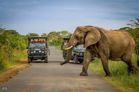 tour_guides_image